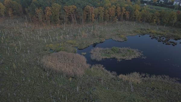 Bagno Jacka - Wesoła