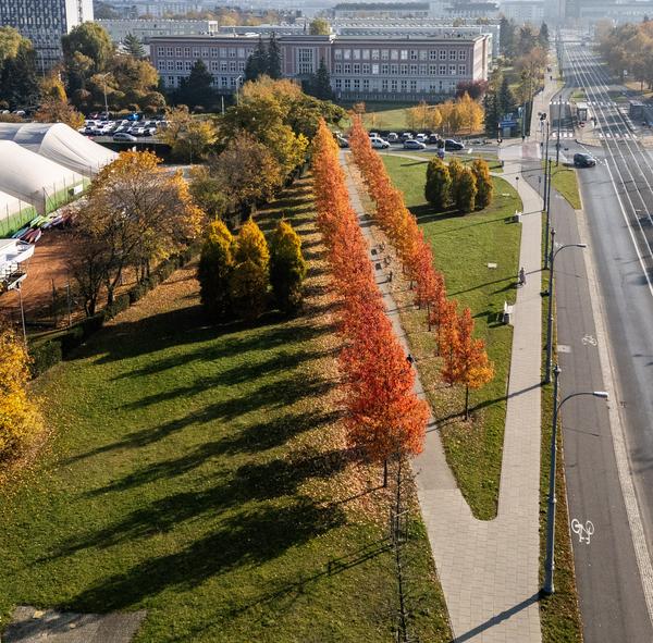 Politechnika