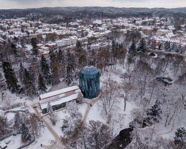 Palmiarnia w parku Oliwskim